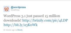 WordPress 3.1 preuzet 15 miliona puta !