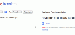 Google prevodilac vas pažljivo sluša !