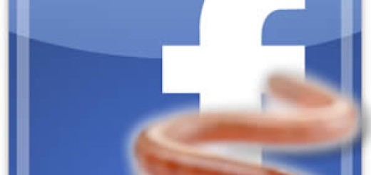 Crv koji blokira pristup Facebook-u